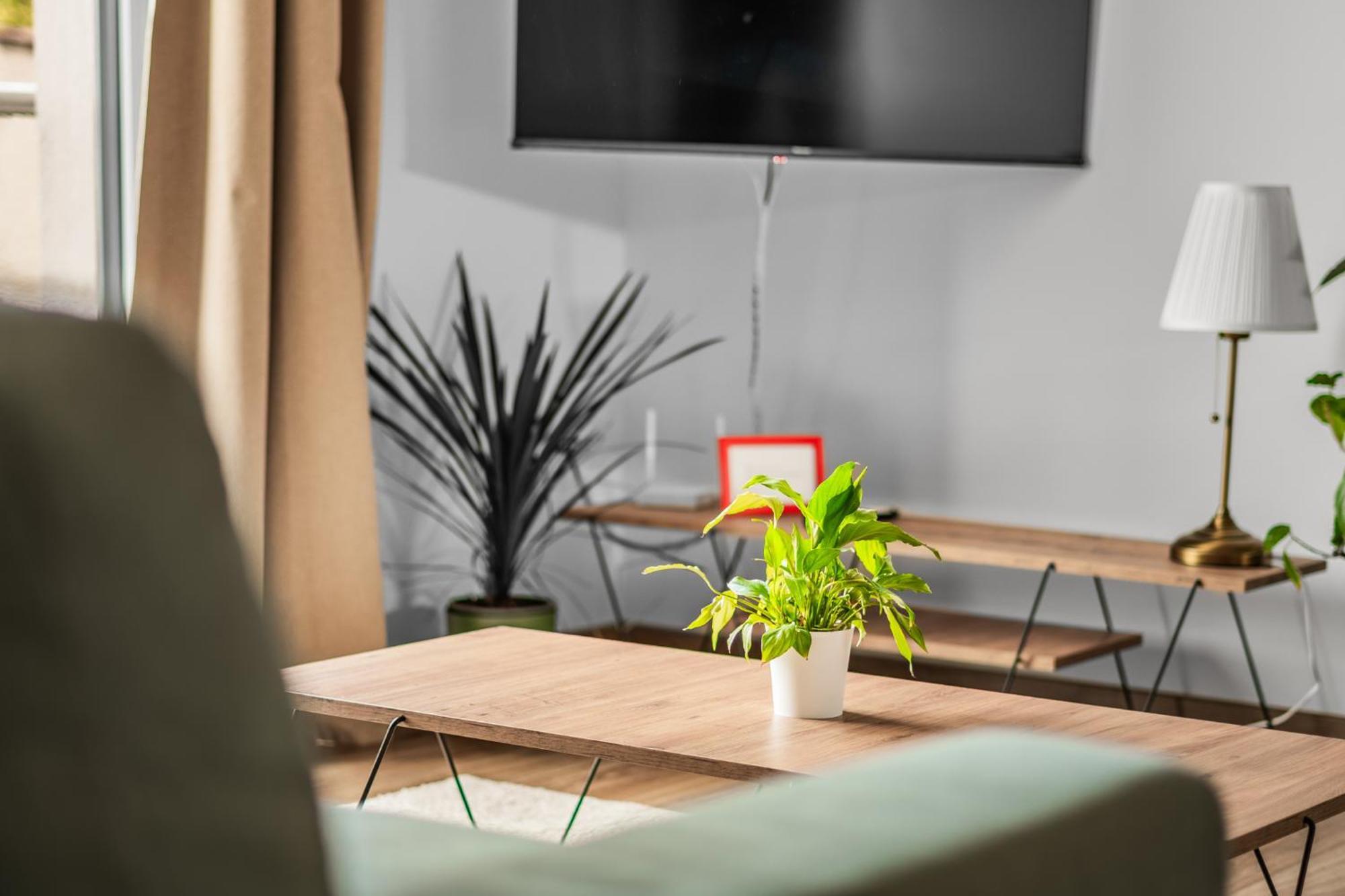Apartman Anna Nové Město nad Metují Exteriör bild